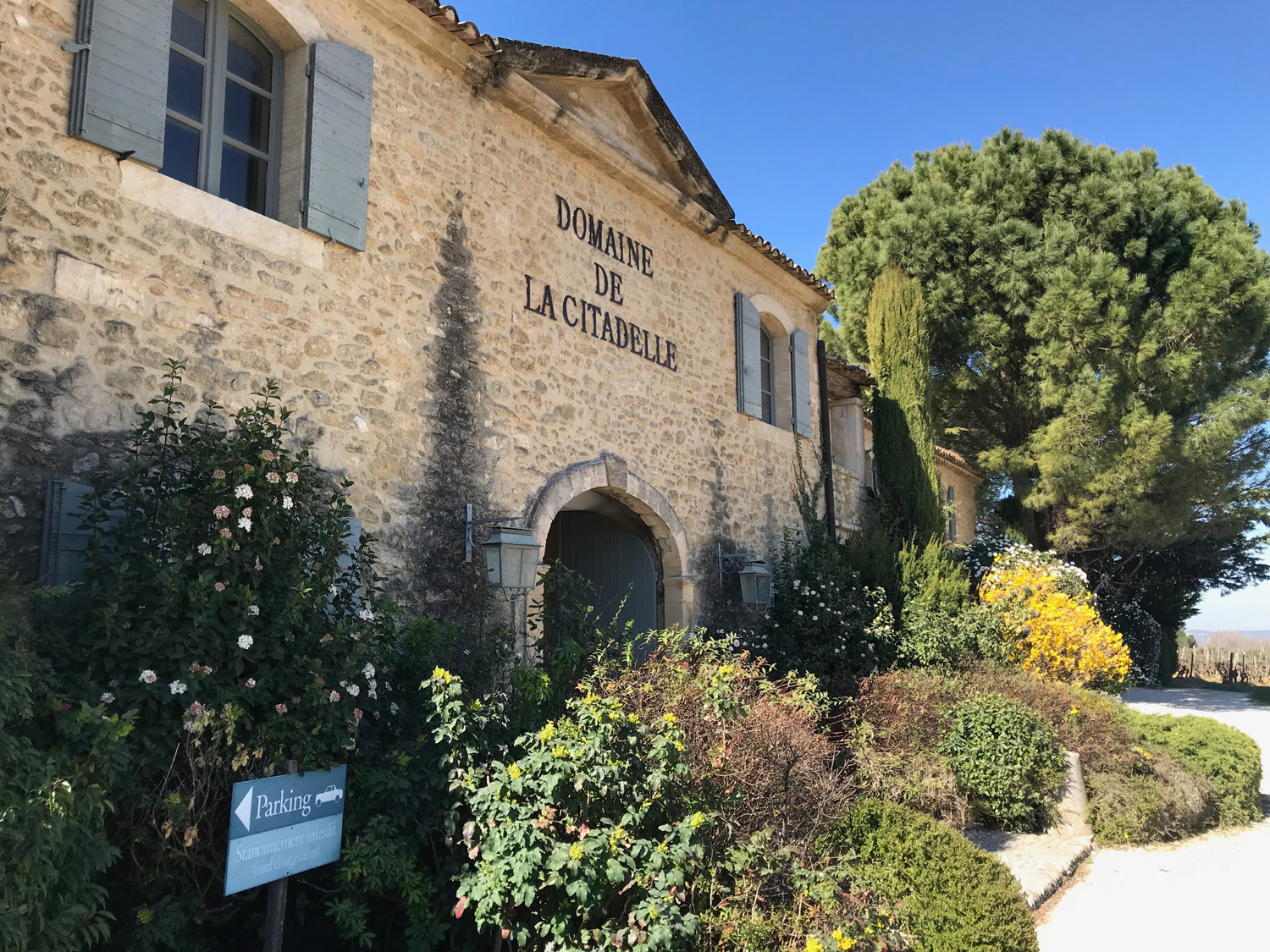 Read more about the article Vineyards of the Luberon